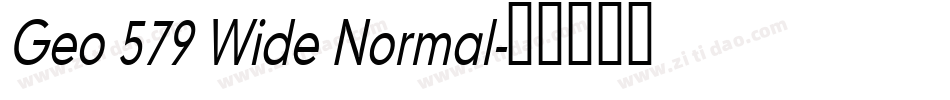 Geo 579 Wide Normal字体转换